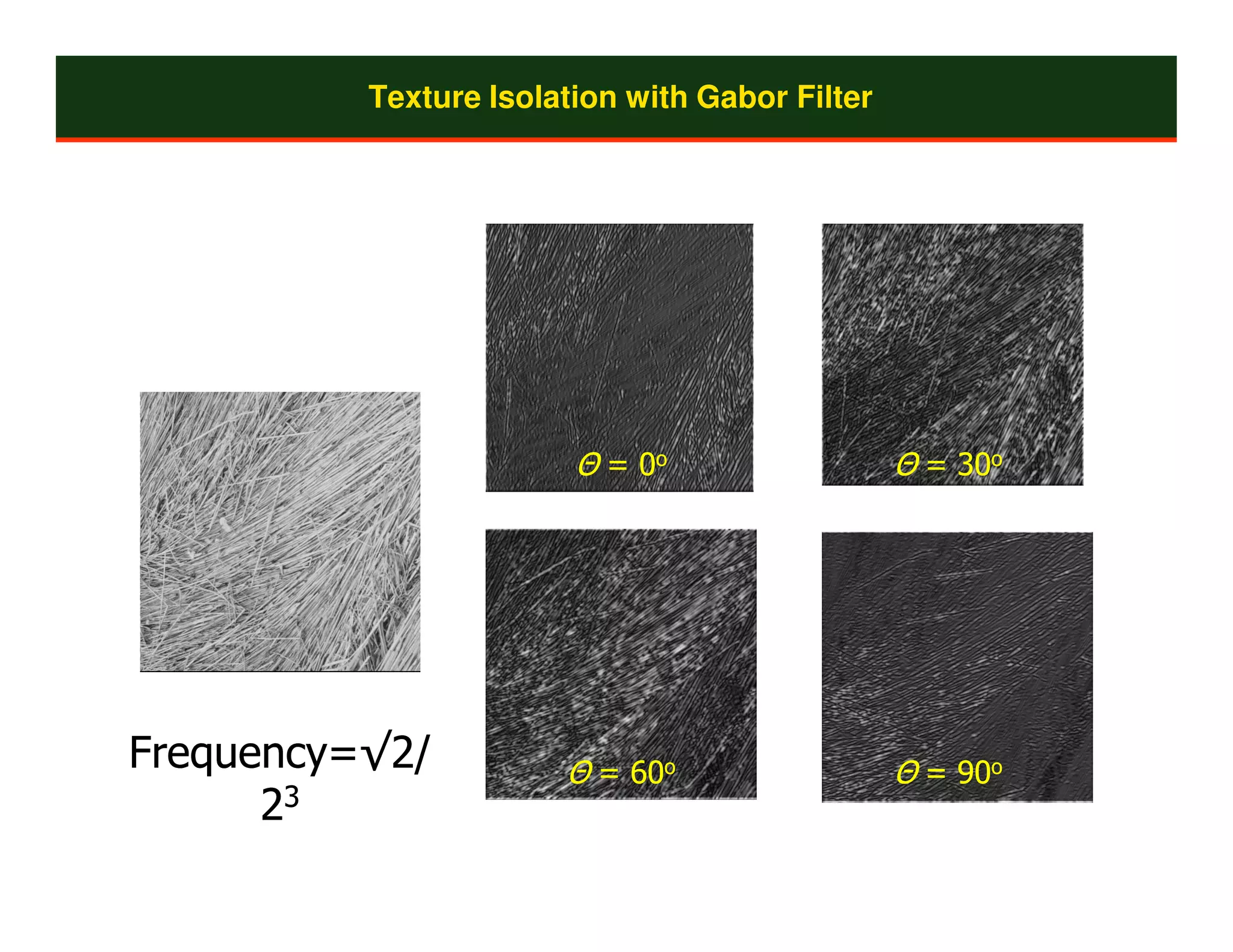 Texture Isolation with Gabor Filter




                        Θ = 0o                  Θ = 30o
                                                    30




Frequency=√2/          Θ = 60o
                           60                   Θ = 90o
                                                    90
      23
 