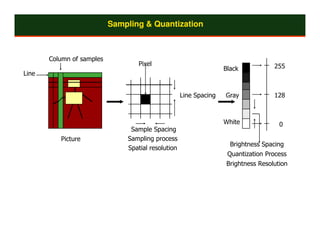Sampling & Quantization



       Column of samples
                                  Pixel                                            255
                                                                   Black
Line


                                                    Line Spacing   Gray            128



                                                                   White             0
                                Sample Spacing
          Picture              Sampling process
                                                                     Brightness Spacing
                               Spatial resolution
                                                                    Quantization Process
                                                                   Brightness Resolution
 
