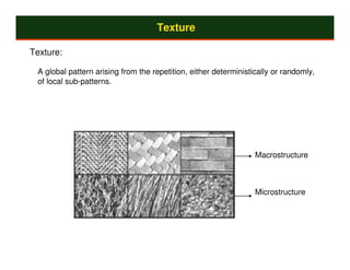 Texture

Texture:

 A global pattern arising from the repetition, either deterministically or randomly,
 of local sub-patterns.




                                                                  Macrostructure



                                                                  Microstructure
 