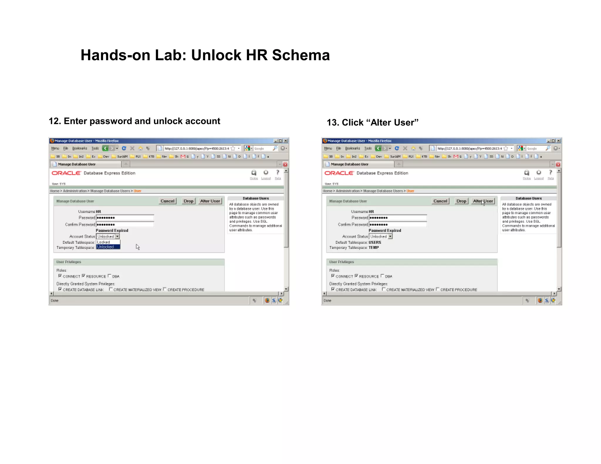 Hands-on Lab: Unlock HR Schema
12. Enter password and unlock account 13. Click “Alter User”
 