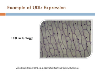 Udl Text Introduction to Universal Design for Learning | PPT