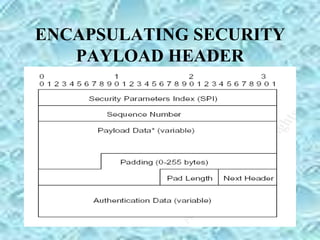 ENCAPSULATING SECURITY
PAYLOAD HEADER
 