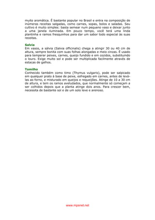 www.mpsnet.net
muito aromática. É bastante popular no Brasil e entra na composição de
inúmeras receitas salgadas, como carnes, sopas, bolos e saladas. Seu
cultivo é muito simples: basta semear num pequeno vaso e deixar junto
a uma janela iluminada. Em pouco tempo, você terá uma linda
plantinha e ramos fresquinhos para dar um sabor todo especial às suas
receitas.
Salvia
Em vasos, a sálvia (Salvia officinalis) chega a atingir 30 ou 40 cm de
altura, sempre bonita com suas folhas alongadas e meio cinzas. É usado
para temperar peixes, carnes, queijo fundido e em cozidos, substituindo
o louro. Exige muito sol e pode ser multiplicada facilmente através de
estacas de galhos.
Tomilho
Conhecido também como timo (Thymus vulgaris), pode ser salpicado
em qualquer prato à base de peixe, esfregado em carnes, antes de levá-
las ao forno, e misturado em queijos e requeijões. Atinge de 10 a 30 cm
de altura, e tem os ramos aveludados, que normalmente só começam a
ser colhidos depois que a planta atinge dois anos. Para crescer bem,
necessita de bastante sol e de um solo leve e arenoso.
 