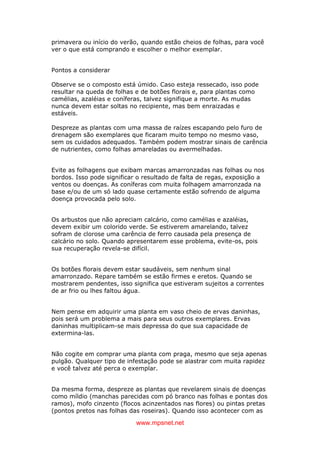 www.mpsnet.net
primavera ou início do verão, quando estão cheios de folhas, para você
ver o que está comprando e escolher o melhor exemplar.
Pontos a considerar
Observe se o composto está úmido. Caso esteja ressecado, isso pode
resultar na queda de folhas e de botões florais e, para plantas como
camélias, azaléias e coníferas, talvez signifique a morte. As mudas
nunca devem estar soltas no recipiente, mas bem enraizadas e
estáveis.
Despreze as plantas com uma massa de raízes escapando pelo furo de
drenagem são exemplares que ficaram muito tempo no mesmo vaso,
sem os cuidados adequados. Também podem mostrar sinais de carência
de nutrientes, como folhas amareladas ou avermelhadas.
Evite as folhagens que exibam marcas amarronzadas nas folhas ou nos
bordos. Isso pode significar o resultado de falta de regas, exposição a
ventos ou doenças. As coníferas com muita folhagem amarronzada na
base e/ou de um só lado quase certamente estão sofrendo de alguma
doença provocada pelo solo.
Os arbustos que não apreciam calcário, como camélias e azaléias,
devem exibir um colorido verde. Se estiverem amarelando, talvez
sofram de clorose uma carência de ferro causada pela presença de
calcário no solo. Quando apresentarem esse problema, evite-os, pois
sua recuperação revela-se difícil.
Os botões florais devem estar saudáveis, sem nenhum sinal
amarronzado. Repare também se estão firmes e eretos. Quando se
mostrarem pendentes, isso significa que estiveram sujeitos a correntes
de ar frio ou lhes faltou água.
Nem pense em adquirir uma planta em vaso cheio de ervas daninhas,
pois será um problema a mais para seus outros exemplares. Ervas
daninhas multiplicam-se mais depressa do que sua capacidade de
extermina-las.
Não cogite em comprar uma planta com praga, mesmo que seja apenas
pulgão. Qualquer tipo de infestação pode se alastrar com muita rapidez
e você talvez até perca o exemplar.
Da mesma forma, despreze as plantas que revelarem sinais de doenças
como míldio (manchas parecidas com pó branco nas folhas e pontas dos
ramos), mofo cinzento (flocos acinzentados nas flores) ou pintas pretas
(pontos pretos nas folhas das roseiras). Quando isso acontecer com as
 