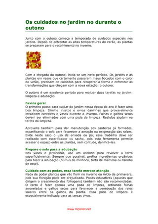 www.mpsnet.net
Os cuidados no jardim no durante o
outono
Junto com o outono começa a temporada de cuidados especiais nos
jardins. Depois de enfrentar as altas temperaturas do verão, as plantas
se preparam para o recolhimento no inverno.
Com a chegada do outono, inicia-se um novo período. Os jardins e as
plantas em vasos que certamente passaram maus bocados com o calor
do verão, precisam de cuidados para recuperar a forma e enfrentar as
transformações que chegam com a nova estação: o outono.
O outono é um excelente período para realizar duas tarefas no jardim:
limpeza e adubação.
Faxina geral
O primeiro passo para cuidar do jardim nessa época do ano é fazer uma
boa limpeza. Elimine insetos e ervas daninhas que provavelmente
invadiram canteiros e vasos durante o inverno. Folhas e galhos secos
devem ser eliminados com uma poda de limpeza. Rastelos ajudam na
tarefa da limpeza.
Aproveite também para dar manutenção aos canteiros já formados,
escarificando o solo para favorecer a aeração ou oxigenação das raízes.
Evite neste caso o uso de enxada ou pá, esse trabalho deve ser
realizado com escarificador ou sacho, pois esta ferramenta permite
acessar o espaço entre as plantas, sem contudo, danificá-las.
Prepare o solo para a adubação
Nos vasos e jardineiras, use um ancinho para revolver a terra
superficialmente. Sempre que possível, prefira ingredientes orgânicos
para fazer a adubação (húmus de minhoca, torta de mamona ou farinha
de osso).
Cuidado com as podas, essa tarefa merece atenção
Nada de podar plantas que vão florir no inverno ou início da primavera,
pois sua floração pode ser prejudicada. Podas educativas (aquelas que
dirigem o crescimento das folhagens) também não são recomendadas.
O certo é fazer apenas uma poda de limpeza, retirando folhas
amareladas e galhos secos para favorecer a penetração dos raios
solares entre os galhos da planta. Essa poda de limpeza é
especialmente indicada para as cercas vivas.
 
