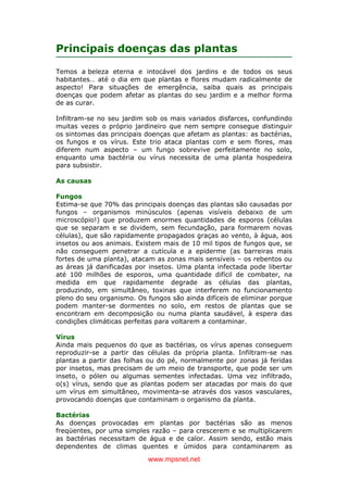 www.mpsnet.net
Principais doenças das plantas
Temos a beleza eterna e intocável dos jardins e de todos os seus
habitantes… até o dia em que plantas e flores mudam radicalmente de
aspecto! Para situações de emergência, saiba quais as principais
doenças que podem afetar as plantas do seu jardim e a melhor forma
de as curar.
Infiltram-se no seu jardim sob os mais variados disfarces, confundindo
muitas vezes o próprio jardineiro que nem sempre consegue distinguir
os sintomas das principais doenças que afetam as plantas: as bactérias,
os fungos e os vírus. Este trio ataca plantas com e sem flores, mas
diferem num aspecto – um fungo sobrevive perfeitamente no solo,
enquanto uma bactéria ou vírus necessita de uma planta hospedeira
para subsistir.
As causas
Fungos
Estima-se que 70% das principais doenças das plantas são causadas por
fungos – organismos minúsculos (apenas visíveis debaixo de um
microscópio!) que produzem enormes quantidades de esporos (células
que se separam e se dividem, sem fecundação, para formarem novas
células), que são rapidamente propagados graças ao vento, à água, aos
insetos ou aos animais. Existem mais de 10 mil tipos de fungos que, se
não conseguem penetrar a cutícula e a epiderme (as barreiras mais
fortes de uma planta), atacam as zonas mais sensíveis – os rebentos ou
as áreas já danificadas por insetos. Uma planta infectada pode libertar
até 100 milhões de esporos, uma quantidade difícil de combater, na
medida em que rapidamente degrade as células das plantas,
produzindo, em simultâneo, toxinas que interferem no funcionamento
pleno do seu organismo. Os fungos são ainda difíceis de eliminar porque
podem manter-se dormentes no solo, em restos de plantas que se
encontram em decomposição ou numa planta saudável, à espera das
condições climáticas perfeitas para voltarem a contaminar.
Vírus
Ainda mais pequenos do que as bactérias, os vírus apenas conseguem
reproduzir-se a partir das células da própria planta. Infiltram-se nas
plantas a partir das folhas ou do pé, normalmente por zonas já feridas
por insetos, mas precisam de um meio de transporte, que pode ser um
inseto, o pólen ou algumas sementes infectadas. Uma vez infiltrado,
o(s) vírus, sendo que as plantas podem ser atacadas por mais do que
um vírus em simultâneo, movimenta-se através dos vasos vasculares,
provocando doenças que contaminam o organismo da planta.
Bactérias
As doenças provocadas em plantas por bactérias são as menos
freqüentes, por uma simples razão – para crescerem e se multiplicarem
as bactérias necessitam de água e de calor. Assim sendo, estão mais
dependentes de climas quentes e úmidos para contaminarem as
 