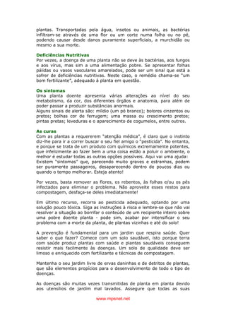 www.mpsnet.net
plantas. Transportadas pela água, insetos ou animais, as bactérias
infiltram-se através de uma flor ou um corte numa folha ou no pé,
podendo causar desde danos puramente superficiais, a murchidão ou
mesmo a sua morte.
Deficiências Nutritivas
Por vezes, a doença de uma planta não se deve às bactérias, aos fungos
e aos vírus, mas sim a uma alimentação pobre. Se apresentar folhas
pálidas ou vasos vasculares amarelados, pode ser um sinal que está a
sofrer de deficiências nutritivas. Neste caso, o remédio chama-se “um
bom fertilizante”, adequado à planta em questão.
Os sintomas
Uma planta doente apresenta várias alterações ao nível do seu
metabolismo, da cor, dos diferentes órgãos e anatomia, para além de
poder passar a produzir substâncias anormais.
Alguns sinais de alerta são: míldio (um pó branco); bolores cinzentos ou
pretos; bolhas cor de ferrugem; uma massa ou crescimento pretos;
pintas pretas; leveduras e o aparecimento de cogumelos, entre outros.
As curas
Com as plantas a requererem “atenção médica”, é claro que o instinto
diz-lhe para ir a correr buscar o seu fiel amigo o “pesticida”. No entanto,
e porque se trata de um produto com químicos extremamente potentes,
que infelizmente ao fazer bem a uma coisa estão a poluir o ambiente, o
melhor é estudar todas as outras opções possíveis. Aqui vai uma ajuda:
Existem “sintomas” que, parecendo muito graves e estranhas, podem
ser puramente passageiros, desaparecendo dentro de poucos dias ou
quando o tempo melhorar. Esteja atento!
Por vezes, basta remover as flores, os rebentos, às folhas e/ou os pés
infectados para eliminar o problema. Não aproveite esses restos para
compostagem, desfaça-se deles imediatamente!
Em último recurso, recorra ao pesticida adequado, optando por uma
solução pouco tóxica. Siga as instruções à risca e lembre-se que não vai
resolver a situação ao borrifar o conteúdo de um recipiente inteiro sobre
uma pobre doente planta - pode sim, acabar por intensificar o seu
problema com a morte da planta, de plantas vizinhas e até do solo!
A prevenção é fundamental para um jardim que respira saúde. Quer
saber o que fazer? Comece com um solo saudável, isto porque terra
com saúde produz plantas com saúde e plantas saudáveis conseguem
resistir mais facilmente às doenças. Um solo de qualidade deve ser
limoso e enriquecido com fertilizante e técnicas de compostagem.
Mantenha o seu jardim livre de ervas daninhas e de detritos de plantas,
que são elementos propícios para o desenvolvimento de todo o tipo de
doenças.
As doenças são muitas vezes transmitidas de planta em planta devido
aos utensílios de jardim mal lavados. Assegure que todas as suas
 