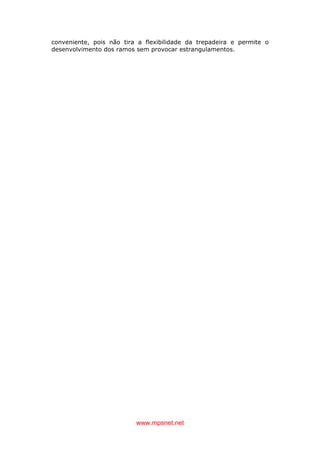 www.mpsnet.net
conveniente, pois não tira a flexibilidade da trepadeira e permite o
desenvolvimento dos ramos sem provocar estrangulamentos.
 