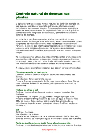 www.mpsnet.net
Controle natural de doenças nas
plantas
O agricultor antigo conhecia formas naturais de controlar doenças em
sua lavoura, usando, por exemplo, extratos de plantas que eram
pulverizados sobre outras plantas. Com o surgimento da agricultura
moderna, este conhecimento foi se perdendo e os produtos químicos,
conhecidos como fungicidas e bactericidas, ganharam destaque no
controle de doenças.
No entanto, o uso destes produtos acabou por contribuir com o
aparecimento de doenças mais resistentes, assim como acontece com o
surgimento de bactérias cada vez mais resistentes aos antibióticos.
Portanto, o resgate das informações tradicionais no controle de doenças
tomou-se uma necessidade urgente, para que os pesquisadores
buscassem novas alternativas, que verdade, eram as usadas em outros
tempos.
As receitas caseiras, utilizando principalmente plantas aromáticas como
a camomila, estão sendo, testadas aos poucos. Alguns experimentos,
por exemplo, com o famoso capim limão, utilizando seu óleo essencial,
têm mostrado eficiência no controle destes micro-organismos.
A seguir, alguns exemplos de receitas que podem ser experimentadas:
Chá de camomila ou matricaria
Controle: diversas doenças fúngicas. Estimula o crescimento das
plantas.
Ingredientes: flor de camomila e água.
Preparo: Imergir um punhado de flores de camomila em água fria por
um a dois dias. Pulverizar as plantas, principalmente as mudas na
sementeira.
Mistura de cinza e sal
Controle: barbas, algas, liquens, musgos e outros parasitas das
frutíferas.
Ingredientes: cal virgem (600g), cinzas (300g) e água (10 litros).
Preparo: Dissolver 600g de cal em 10 litros de água e misturar mais
300g de cinzas. Coar e aplicar sobre as plantas, pincelando ou
pulverizando durante a seca, quando as plantas frutíferas estão em
dormência.
Cal
Controle: formigas.
Ingredientes: cal e água.
Preparo: Fazer uma pasta de cal e pincelar sobre o tronco. Com isso,
evita-se a subida de formigas e ajuda a controlar a barba das frutíferas.
Pasta de argila, esterco, areia fina e chá de camornila
Controle: proteção de cortes feitos por podas, troncos e ramos doentes.
 