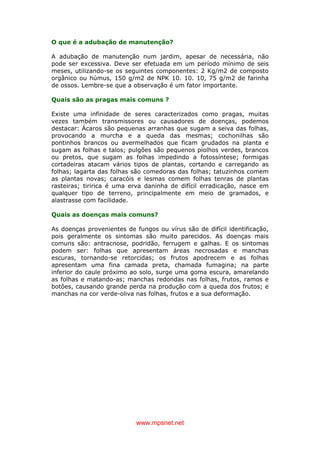 www.mpsnet.net
O que é a adubação de manutenção?
A adubação de manutenção num jardim, apesar de necessária, não
pode ser excessiva. Deve ser efetuada em um período mínimo de seis
meses, utilizando-se os seguintes componentes: 2 Kg/m2 de composto
orgânico ou húmus, 150 g/m2 de NPK 10. 10. 10, 75 g/m2 de farinha
de ossos. Lembre-se que a observação é um fator importante.
Quais são as pragas mais comuns ?
Existe uma infinidade de seres caracterizados como pragas, muitas
vezes também transmissores ou causadores de doenças, podemos
destacar: Ácaros são pequenas arranhas que sugam a seiva das folhas,
provocando a murcha e a queda das mesmas; cochonilhas são
pontinhos brancos ou avermelhados que ficam grudados na planta e
sugam as folhas e talos; pulgões são pequenos piolhos verdes, brancos
ou pretos, que sugam as folhas impedindo a fotossíntese; formigas
cortadeiras atacam vários tipos de plantas, cortando e carregando as
folhas; lagarta das folhas são comedoras das folhas; tatuzinhos comem
as plantas novas; caracóis e lesmas comem folhas tenras de plantas
rasteiras; tiririca é uma erva daninha de difícil erradicação, nasce em
qualquer tipo de terreno, principalmente em meio de gramados, e
alastrasse com facilidade.
Quais as doenças mais comuns?
As doenças provenientes de fungos ou vírus são de difícil identificação,
pois geralmente os sintomas são muito parecidos. As doenças mais
comuns são: antracnose, podridão, ferrugem e galhas. E os sintomas
podem ser: folhas que apresentam áreas necrosadas e manchas
escuras, tornando-se retorcidas; os frutos apodrecem e as folhas
apresentam uma fina camada preta, chamada fumagina; na parte
inferior do caule próximo ao solo, surge uma goma escura, amarelando
as folhas e matando-as; manchas redondas nas folhas, frutos, ramos e
botões, causando grande perda na produção com a queda dos frutos; e
manchas na cor verde-oliva nas folhas, frutos e a sua deformação.
 