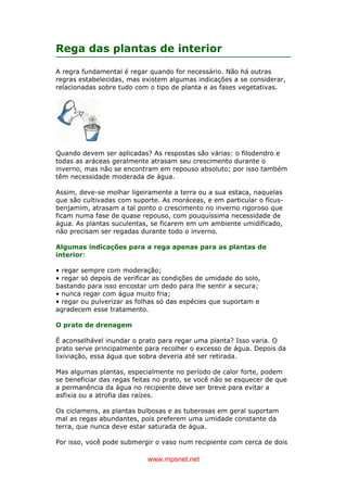 www.mpsnet.net
Rega das plantas de interior
A regra fundamental é regar quando for necessário. Não há outras
regras estabelecidas, mas existem algumas indicações a se considerar,
relacionadas sobre tudo com o tipo de planta e as fases vegetativas.
Quando devem ser aplicadas? As respostas são várias: o filodendro e
todas as aráceas geralmente atrasam seu crescimento durante o
inverno, mas não se encontram em repouso absoluto; por isso também
têm necessidade moderada de água.
Assim, deve-se molhar ligeiramente a terra ou a sua estaca, naquelas
que são cultivadas com suporte. As moráceas, e em particular o fícus-
benjamim, atrasam a tal ponto o crescimento no inverno rigoroso que
ficam numa fase de quase repouso, com pouquíssima necessidade de
água. As plantas suculentas, se ficarem em um ambiente umidificado,
não precisam ser regadas durante todo o inverno.
Algumas indicações para a rega apenas para as plantas de
interior:
• regar sempre com moderação;
• regar só depois de verificar as condições de umidade do solo,
bastando para isso encostar um dedo para lhe sentir a secura;
• nunca regar com água muito fria;
• regar ou pulverizar as folhas só das espécies que suportam e
agradecem esse tratamento.
O prato de drenagem
É aconselhável inundar o prato para regar uma planta? Isso varia. O
prato serve principalmente para recolher o excesso de água. Depois da
lixiviação, essa água que sobra deveria até ser retirada.
Mas algumas plantas, especialmente no período de calor forte, podem
se beneficiar das regas feitas no prato, se você não se esquecer de que
a permanência da água no recipiente deve ser breve para evitar a
asfixia ou a atrofia das raízes.
Os ciclamens, as plantas bulbosas e as tuberosas em geral suportam
mal as regas abundantes, pois preferem uma umidade constante da
terra, que nunca deve estar saturada de água.
Por isso, você pode submergir o vaso num recipiente com cerca de dois
 