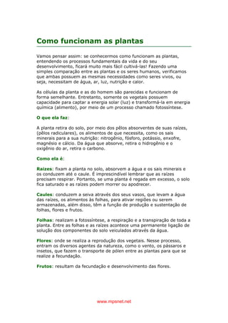 www.mpsnet.net
Como funcionam as plantas
Vamos pensar assim: se conhecermos como funcionam as plantas,
entendendo os processos fundamentais da vida e do seu
desenvolvimento, ficará muito mais fácil cultivá-las! Fazendo uma
simples comparação entre as plantas e os seres humanos, verificamos
que ambas possuem as mesmas necessidades como seres vivos, ou
seja, necessitam de água, ar, luz, nutrição e calor.
As células da planta e as do homem são parecidas e funcionam de
forma semelhante. Entretanto, somente os vegetais possuem
capacidade para captar a energia solar (luz) e transformá-la em energia
química (alimento), por meio de um processo chamado fotossíntese.
O que ela faz:
A planta retira do solo, por meio dos pêlos absorventes de suas raízes,
(pêlos radiculares), os alimentos de que necessita, como os sais
minerais para a sua nutrição: nitrogênio, fósforo, potássio, enxofre,
magnésio e cálcio. Da água que absorve, retira o hidrogênio e o
oxigênio do ar, retira o carbono.
Como ela é:
Raizes: fixam a planta no solo, absorvem a água e os sais minerais e
os conduzem até o caule. É imprescindível lembrar que as raízes
precisam respirar. Portanto, se uma planta é regada em excesso, o solo
fica saturado e as raízes podem morrer ou apodrecer.
Caules: conduzem a seiva através dos seus vasos, que levam a água
das raízes, os alimentos às folhas, para ativar regiões ou serem
armazenadas, além disso, têm a função de produção e sustentação de
folhas, flores e frutos.
Folhas: realizam a fotossíntese, a respiração e a transpiração de toda a
planta. Entre as folhas e as raízes acontece uma permanente ligação de
solução dos componentes do solo veiculados através da água.
Flores: onde se realiza a reprodução dos vegetais. Nesse processo,
entram os diversos agentes da natureza, como o vento, os pássaros e
insetos, que fazem o transporte de pólen entre as plantas para que se
realize a fecundação.
Frutos: resultam da fecundação e desenvolvimento das flores.
 
