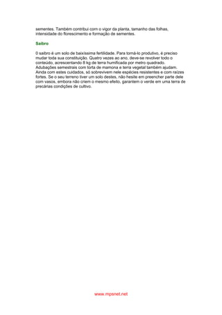 www.mpsnet.net
sementes. Também contribui corn o vigor da planta, tamanho das folhas,
intensidade do florescimento e formação de sementes.
Saibro
0 saibro é um solo de baixíssima fertilidade. Para torná-lo produtivo, é preciso
mudar toda sua constituição. Quatro vezes ao ano, deve-se revolver todo o
conteúdo, acrescentando 8 kg de terra humificada por metro quadrado.
Adubações semestrais com torta de mamona e terra vegetal também ajudam.
Ainda com estes cuidados, só sobrevivem nele espécies resistentes e com raízes
fortes. Se o seu terreno tiver um solo destes, não hesite em preencher parte dele
com vasos, embora não criem o mesmo efeito, garantem o verde em uma terra de
precárias condições de cultivo.
 