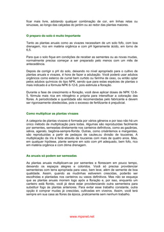 www.mpsnet.net
ficar mais livre, adotando qualquer combinação de cor, em linhas retas ou
sinuosas, ao longo das calçadas do jardim ou ao redor das plantas maiores.
O preparo do solo é muito Importante
Tanto as plantas anuais como as vivazes necessitam de um solo fofo, com boa
drenagem, rico em matéria orgânica e com pH ligeiramente ácido, em torno de
6,5.
Para que o solo fique em condições de receber as sementes ou as novas mudas,
normalmente precisa começar a ser preparado pelo menos com um mês de
antecedência.
Depois de corrigir o pH do solo, deixando no nível apropriado para o cultivo de
plantas anuais e vivazes, é hora de fazer a adubação. Você poderá usar adubos
orgânicos como esterco de curral bem curtido ou farinha de osso, ou então optar
pelos adubos químicos do tipo NPK, sendo que para estas espécies de plantas o
mais indicado é a fórmula NPK 6-12-6, pois estimula a floração.
Durante a fase de crescimento e floração, você deve aplicar doses de NPK 12-8-
5, fórmula mais rica em nitrogênio e própria para intensificar a coloração das
flores. A periodicidade e quantidade são recomendadas pelo fabricante e devem
ser rigorosamente obedecidas, pois o excesso de fertilizante é prejudicial.
Como multiplicar as plantas vivazes
A categoria de plantas vivazes é formada por vários gêneros e por isso não há um
único método de multiplicação para todas. Algumas são reproduzidas facilmente
por sementes, semeadas diretamente nos canteiros definitivos, como as gazânias,
sálvia, agerato, begônia-sempre-florida. Outras, como crisântemos e margaridas,
são reproduzidas a partir de pedaços de caules,ou divisão de touceiras. A
multiplicação da íris é feita através de touceiras com mais de quatro anos. Mas,
em qualquer hipótese, plante sempre em solo com pH adequado, bem fofo, rico
em matéria orgânica e com ótima drenagem.
As anuais só podem ser semeadas
As plantas anuais multiplicam-se por sementes e florescem em pouco tempo,
deixando os espaços alegres e coloridos. Você só precisa providenciar
sementeiras com terra apropriada para vaso, bem leve, além de semente de boa
qualidade. Assim, quando as mudinhas estiverem crescidas, poderão ser
escolhidas e plantadas nos canteiros ou vasos definitivos. Mas não se esqueça
que as plantas anuais morrem logo após a floração e, por isso, enquanto um
canteiro está florido, você já deve estar providenciando outra sementeira para
substituir fogo às plantas anteriores. Para evitar esse trabalho constante, outra
opção é comprar mudas já crescidas, cultivadas em viveiros. Assim, você terá
sempre em sua casa as flores da época, praticamente sem nenhum trabalho.
 