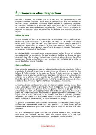 www.mpsnet.net
É primavera elas despertam
Durante o inverno, as plantas que você tem em casa provavelmente não
exigiram maiores cuidados. Afinal elas se encontravam em seu período de
repouso. Com a chegada da primavera porém, as plantas começam a despertar
do chamado "sono verde” e passam a exigir maior atenção. Por isso, você deve
se preparar para esse período em que elas vão “reviver”, tendo o cuidado de
reiniciar em primeiro lugar as operações de replante dos vegetais velhos ou
novos.
A hora da poda
A poda só deve ser feita na última metade da primavera, quando terão que ser
removidos os brotos fracos. Corte-os bem na base, ou na junção com outro
ramo mais velho, para renovar seu crescimento. Muitas plantas perdem a
maioria das suas folhas no inverno. Se isso tiver ocorrido, pode-as até 5 cm
acima do nível do solo. No caso específico de trepadeiras heras e filodendros,
arranque os brotos acima das folhas.
As plantas floridas que anualmente produzem novos botões devem ser podadas
completamente na primavera. As que produzem botões só depois de bem
desenvolvidas, não precisam mais do que o corte de alguns brotos. Os coléus
apresentam flores insignificantes que precisam ser cortadas para evitar a
queda das folhas após a floração.
Outros cuidados
Para alimentar suas plantas use um adubo líquido contendo nitrogênio, fósforo
e potássio. O nitrogênio estimula o crescimento da folhagem e o colorido das
folhas. O fósforo ajuda na formação de flores, frutos, sementes e raízes. O
potássio torna a planta, resistente às doenças e fortalece o crescimento. No
entanto, se a planta estiver doente ou for recém-plantada, não a adube.
Durante a primavera e o verão alimente melhor a sua planta aplicando o adubo
a cada 15 dias. Obedeça rigorosamente as instruções do fabricante.
A maior parte das plantas ornamentais precisa ser regada mais ou menos duas
a três vezes por semana na primavera. Além do regar de maneira apropriada,
você deve manter suas plantas livres da poeira. Remova o pó por meio de
pulverização ou com uma esponja macia embebida em água pura. Conserve a
planta na sombra até secar. As samambaias podem ser limpas utilizando-se um
vaporizador a curta distância, e as plantas com folhas peludas (violetas-
africanas), os cactos e as suculentas, com o auxilio do uma escova de pêlo
macia. Remova as folhas velhas, as flores murchas e o musgo.
As plantas ornamentais bem cuidadas raramente são atacadas pelas pragas.
Examine-as atentamente uma vez por semana. Se uma delas estiver
contaminada retire-a de junto das outras. Aplique fungicida em um local bem
ventilado.
Luz e ar são essenciais para a vida de suas plantas. Deixe-as fora, ao ar livre,
uma noite por semana. Recolha, logo pela manhã antes do o sol ficar
demasiado quente, regando-as antes das 10 horas ou no fim da tarde.
 