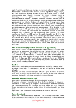 www.mpsnet.net
ação fungicida, combatendo doenças como míldio e ferrugens; tem ação
bactericida e controla insetos nocivos como a lagarta da maçã, pulgão,
etc. Sua principal ação é de repelência sobre as pragas, sendo inclusive
recomendado para plantio intercalar de certas fruteiras como a
macieira, para repelir pragas.
Características e preparo - no Brasil o uso do alho está restrito ainda a
pequenas áreas, como na agricultura orgânica, enquanto que em outros
países como nos Estados Unidos, pela possibilidade de empregar o óleo
de alho, obtido através de extração industrial, já é possivel empregá-lo
em larga escala em cultivos comerciais. Uma fórmula para o preparo de
um defensivo com alho compreende a mistura de 1,0 kg de alho + 5,0
litros de água + 100 gramas de sabão + 20 colheres (de café) de óleo
mineral. Os dentes de alho devem ser finamente moídos e deixados
repousar por 24 horas, em 20 colheres de óleo mineral. Em outro
vasilhame, dissolve-se 100 gramas de sabão (picado) em 5 litros de
água, de preferência quente. Após a dissolução do sabão, mistura-se a
solução de alho. Antes de usar filtra-se e dilui-se a mistura com 20
partes de água. As concentrações são variáveis de acordo com o tipo de
pragas que se quer combater (Stoll, 1989). Quando pulverizado sobre
as plantas depois de 36 horas não deixa cheiro, nem odor nos produtos
agrícolas.
Chá de Cavalinha (Equisetum arvense ou E. giganteum)
Indicação - é muito indicada e empregada na horticultura orgânica para
aumentar a resistência das plantas contra insetos nocivos em geral.
Preparo e aplicação - ingredientes: 100 gramas de cavalinha seca ou
300 gramas de planta verde; 10 litros de água para maceração e 90
litros de água para diluição. Preparo: ferver as folhas de cavalinha em
10 litros de água por 20 minutos. Diluir a calda resultante em 90 litros
de água. Aplicação: regar ou pulverizar as plantas, alternando com a
urtiga. Fonte: Geraldo Deffune, 1992.
Confrei
Indicação - combate a pulgões em hortaliças e frutíferas e adubo foliar.
Preparo e aplicação - ingredientes: 1,0 kg de confrei e água para
diluição.
Preparo: utilizar o liqüidificador para triturar 1 quilo de folhas de confrei
com água ou então deixar em infusão por 10 dias. Acrescentar 10 litros
de água. Aplicação: pulverizar periodicamente as plantas.
Cravo de Defunto (Tagetes spp)
Indicação - combate a pulgões, ácaros e algumas lagartas .
Preparo e aplicação - ingredientes: 1 kg de folhas de talo de cravo-de-
defunto e 10 litros de água. Preparo: misturar 1quilo de folhas de talos
de cravo-de-defuntos em 10 litros de água. Levar ao fogo e deixar
ferver durante meia hora ou então deixar de molho (picado) por dois
dias.
Aplicação: Coar o caldo obtido e pulverizar as plantas atacadas.
Fumo (nicotina)
Indicação - a nicotina contida no fumo é um excelente inseticida, tendo
ação de contato contra pulgões, tripes e outras pragas. Quando aplicada
 
