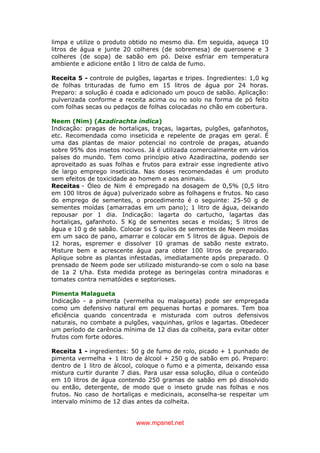www.mpsnet.net
limpa e utilize o produto obtido no mesmo dia. Em seguida, aqueça 10
litros de água e junte 20 colheres (de sobremesa) de querosene e 3
colheres (de sopa) de sabão em pó. Deixe esfriar em temperatura
ambiente e adicione então 1 litro de calda de fumo.
Receita 5 - controle de pulgões, lagartas e tripes. Ingredientes: 1,0 kg
de folhas trituradas de fumo em 15 litros de água por 24 horas.
Preparo: a solução é coada e adicionado um pouco de sabão. Aplicação:
pulverizada conforme a receita acima ou no solo na forma de pó feito
com folhas secas ou pedaços de folhas colocadas no chão em cobertura.
Neem (Nim) (Azadirachta indica)
Indicação: pragas de hortaliças, traças, lagartas, pulgões, gafanhotos,
etc. Recomendada como inseticida e repelente de pragas em geral. É
uma das plantas de maior potencial no controle de pragas, atuando
sobre 95% dos insetos nocivos. Já é utilizada comercialmente em vários
países do mundo. Tem como princípio ativo Azadiractina, podendo ser
aproveitado as suas folhas e frutos para extrair esse ingrediente ativo
de largo emprego inseticida. Nas doses recomendadas é um produto
sem efeitos de toxicidade ao homem e aos animais.
Receitas - Óleo de Nim é empregado na dosagem de 0,5% (0,5 litro
em 100 litros de água) pulverizado sobre as folhagens e frutos. No caso
do emprego de sementes, o procedimento é o seguinte: 25-50 g de
sementes moídas (amarradas em um pano); 1 litro de água, deixando
repousar por 1 dia. Indicação: lagarta do cartucho, lagartas das
hortaliças, gafanhoto. 5 Kg de sementes secas e moídas; 5 litros de
água e 10 g de sabão. Colocar os 5 quilos de sementes de Neem moídas
em um saco de pano, amarrar e colocar em 5 litros de água. Depois de
12 horas, espremer e dissolver 10 gramas de sabão neste extrato.
Misture bem e acrescente água para obter 100 litros de preparado.
Aplique sobre as plantas infestadas, imediatamente após preparado. O
prensado de Neem pode ser utilizado misturando-se com o solo na base
de 1a 2 t/ha. Esta medida protege as beringelas contra minadoras e
tomates contra nematóides e septorioses.
Pimenta Malagueta
Indicação - a pimenta (vermelha ou malagueta) pode ser empregada
como um defensivo natural em pequenas hortas e pomares. Tem boa
eficiência quando concentrada e misturada com outros defensivos
naturais, no combate a pulgões, vaquinhas, grilos e lagartas. Obedecer
um período de carência mínima de 12 dias da colheita, para evitar obter
frutos com forte odores.
Receita 1 - ingredientes: 50 g de fumo de rolo, picado + 1 punhado de
pimenta vermelha + 1 litro de álcool + 250 g de sabão em pó. Preparo:
dentro de 1 litro de álcool, coloque o fumo e a pimenta, deixando essa
mistura curtir durante 7 dias. Para usar essa solução, dilua o conteúdo
em 10 litros de água contendo 250 gramas de sabão em pó dissolvido
ou então, detergente, de modo que o inseto grude nas folhas e nos
frutos. No caso de hortaliças e medicinais, aconselha-se respeitar um
intervalo mínimo de 12 dias antes da colheita.
 