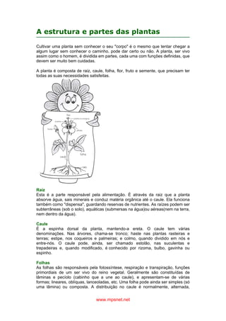 www.mpsnet.net
A estrutura e partes das plantas
Cultivar uma planta sem conhecer o seu "corpo" é o mesmo que tentar chegar a
algum lugar sem conhecer o caminho, pode dar certo ou não. A planta, ser vivo
assim como o homem, é dividida em partes, cada uma com funções definidas, que
devem ser muito bem cuidadas.
A planta é composta de raiz, caule, folha, flor, fruto e semente, que precisam ter
todas as suas necessidades satisfeitas.
Raiz
Esta é a parte responsável pela alimentação. É através da raiz que a planta
absorve água, sais minerais e conduz matéria orgânica até o caule. Ela funciona
também como "dispensa", guardando reservas de nutrientes. As raízes podem ser
subterrâneas (sob o solo), aquáticas (submersas na água)ou aéreas(nem na terra,
nem dentro da água).
Caule
É a espinha dorsal da planta, mantendo-a ereta. O caule tem várias
denominações. Nas árvores, chama-se tronco; haste nas plantas rasteiras e
tenras; estipe, nos coqueiros e palmeiras; e colmo, quando dividido em nós e
entre-nós. O caule pode, ainda, ser chamado estolão, nas suculentas e
trepadeiras e, quando modificado, é conhecido por rizoma, bulbo, gavinha ou
espinho.
Folhas
As folhas são responsáveis pela fotossíntese, respiração e transpiração, funções
primordiais de um ser vivo do reino vegetal. Geralmente são constituídas de
lâminas e pecíolo (cabinho que a une ao caule), e apresentam-se de várias
formas; lineares, oblíquas, lanceoladas, etc. Uma folha pode ainda ser simples (só
uma lâmina) ou composta. A distribuição no caule é normalmente, alternada,
 