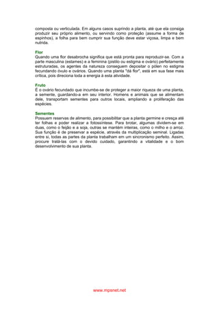 www.mpsnet.net
composta ou verticulada. Em alguns casos suprindo a planta, até que ela consiga
produzir seu próprio alimento, ou servindo como proteção (assume a forma de
espinhos), a folha para bem cumprir sua função deve estar viçosa, limpa e bem
nutrida.
Flor
Quando uma flor desabrocha significa que está pronta para reproduzir-se. Com a
parte masculina (estames) e a feminina (pistilo ou estigma e ovário) perfeitamente
estruturadas, os agentes da natureza conseguem depositar o pólen no estigma
fecundando óvulo e ovários. Quando uma planta "dá flor", está em sua fase mais
crítica, pois direciona toda a energia à esta atividade.
Fruto
É o ovário fecundado que incumbe-se de proteger a maior riqueza de uma planta,
a semente, guardando-a em seu interior. Homens e animais que se alimentam
dele, transportam sementes para outros locais, ampliando a proliferação das
espécies.
Sementes
Possuem reservas de alimento, para possibilitar que a planta germine e cresça até
ter folhas e poder realizar a fotossíntese. Para brotar, algumas dividem-se em
duas, como o feijão e a soja, outras se mantém inteiras, como o milho e o arroz.
Sua função é de preservar a espécie, através da multiplicação seminal. Ligadas
entre si, todas as partes da planta trabalham em um sincronismo perfeito. Assim,
procure tratá-las com o devido cuidado, garantindo a vitalidade e o bom
desenvolvimento de sua planta.
 