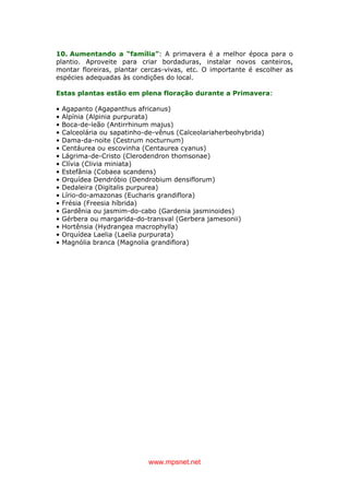 www.mpsnet.net
10. Aumentando a “família”: A primavera é a melhor época para o
plantio. Aproveite para criar bordaduras, instalar novos canteiros,
montar floreiras, plantar cercas-vivas, etc. O importante é escolher as
espécies adequadas às condições do local.
Estas plantas estão em plena floração durante a Primavera:
• Agapanto (Agapanthus africanus)
• Alpínia (Alpinia purpurata)
• Boca-de-leão (Antirrhinum majus)
• Calceolária ou sapatinho-de-vênus (Calceolariaherbeohybrida)
• Dama-da-noite (Cestrum nocturnum)
• Centáurea ou escovinha (Centaurea cyanus)
• Lágrima-de-Cristo (Clerodendron thomsonae)
• Clívia (Clivia miniata)
• Estefânia (Cobaea scandens)
• Orquídea Dendróbio (Dendrobium densiflorum)
• Dedaleira (Digitalis purpurea)
• Lírio-do-amazonas (Eucharis grandiflora)
• Frésia (Freesia híbrida)
• Gardênia ou jasmim-do-cabo (Gardenia jasminoides)
• Gérbera ou margarida-do-transval (Gerbera jamesonii)
• Hortênsia (Hydrangea macrophylla)
• Orquídea Laelia (Laelia purpurata)
• Magnólia branca (Magnolia grandiflora)
 