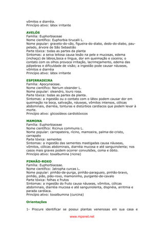 www.mpsnet.net
vômitos e diarréia.
Princípio ativo: látex irritante
AVELÓS
Família: Euphorbiaceae
Nome científico: Euphorbia tirucalli L.
Nome popular: graveto-do-cão, figueira-do-diabo, dedo-do-diabo, pau-
pelado, árvore de São Sebastião
Parte tóxica: todas as partes da planta
Sintomas: a seiva leitosa causa lesão na pele e mucosas, edema
(inchaço) de lábios,boca e língua, dor em queimação e coceira; o
contato com os olhos provoca irritação, lacrimejamento, edema das
pálpebras e dificuldade de visão; a ingestão pode causar náuseas,
vômitos e diarréia
Princípio ativo: látex irritante
ESPIRRADEIRA
Família: Apocynaceae.
Nome científico: Nerium oleander L.
Nome popular: oleandro, louro rosa.
Parte tóxica: todas as partes da planta.
Sintomas: a ingestão ou o contato com o látex podem causar dor em
queimação na boca, salivação, náuseas, vômitos intensos, cólicas
abdominais, diarréia, tonturas e distúrbios cardíacos que podem levar à
morte.
Princípio ativo: glicosídeos cardiotóxicos
MAMONA
Família: Euphorbiaceae
Nome científico: Ricinus communis L.
Nome popular: carrapateira, rícino, mamoeira, palma-de-cristo,
carrapato
Parte tóxica: sementes
Sintomas: a ingestão das sementes mastigadas causa náuseas,
vômitos, cólicas abdominais, diarréia mucosa e até sanguinolenta; nos
casos mais graves podem ocorrer convulsões, coma e óbito.
Princípio ativo: toxalbumina (ricina)
PINHÃO-ROXO
Família: Euphorbiaceae.
Nome científico: Jatropha curcas L.
Nome popular: pinhão-de-purga, pinhão-paraguaio, pinhão-bravo,
pinhão, pião, pião-roxo, mamoninho, purgante-de-cavalo
Parte tóxica: folhas e frutos
Sintomas: a ingestão do fruto causa náuseas, vômitos, cólicas
abdominais, diarréia mucosa e até sanguinolenta, dispnéia, arritmia e
parada cardíaca.
Princípio ativo: toxalbumina (curcina)
Orientações
1- Procure identificar se possui plantas venenosas em sua casa e
 