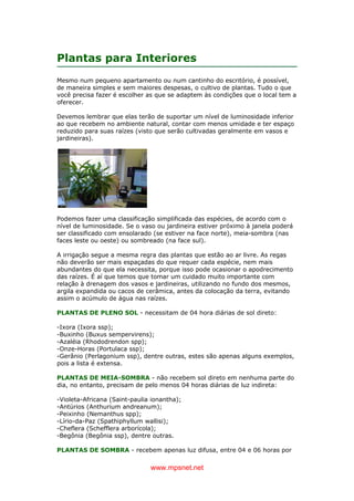 www.mpsnet.net
Plantas para Interiores
Mesmo num pequeno apartamento ou num cantinho do escritório, é possível,
de maneira simples e sem maiores despesas, o cultivo de plantas. Tudo o que
você precisa fazer é escolher as que se adaptem às condições que o local tem a
oferecer.
Devemos lembrar que elas terão de suportar um nível de luminosidade inferior
ao que recebem no ambiente natural, contar com menos umidade e ter espaço
reduzido para suas raízes (visto que serão cultivadas geralmente em vasos e
jardineiras).
Podemos fazer uma classificação simplificada das espécies, de acordo com o
nível de luminosidade. Se o vaso ou jardineira estiver próximo à janela poderá
ser classificado com ensolarado (se estiver na face norte), meia-sombra (nas
faces leste ou oeste) ou sombreado (na face sul).
A irrigação segue a mesma regra das plantas que estão ao ar livre. As regas
não deverão ser mais espaçadas do que requer cada espécie, nem mais
abundantes do que ela necessita, porque isso pode ocasionar o apodrecimento
das raízes. É aí que temos que tomar um cuidado muito importante com
relação à drenagem dos vasos e jardineiras, utilizando no fundo dos mesmos,
argila expandida ou cacos de cerâmica, antes da colocação da terra, evitando
assim o acúmulo de água nas raízes.
PLANTAS DE PLENO SOL - necessitam de 04 hora diárias de sol direto:
-Ixora (Ixora ssp);
-Buxinho (Buxus sempervirens);
-Azaléia (Rhododrendon spp);
-Onze-Horas (Portulaca ssp);
-Gerânio (Perlagonium ssp), dentre outras, estes são apenas alguns exemplos,
pois a lista é extensa.
PLANTAS DE MEIA-SOMBRA - não recebem sol direto em nenhuma parte do
dia, no entanto, precisam de pelo menos 04 horas diárias de luz indireta:
-Violeta-Africana (Saint-paulia ionantha);
-Antúrios (Anthurium andreanum);
-Peixinho (Nemanthus spp);
-Lírio-da-Paz (Spathiphyllum wallisi);
-Cheflera (Schefflera arborícola);
-Begônia (Begônia ssp), dentre outras.
PLANTAS DE SOMBRA - recebem apenas luz difusa, entre 04 e 06 horas por
 