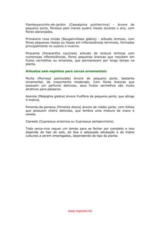 www.mpsnet.net
Flamboyanzinho-de-jardim (Caesalpinia pulcherrima) - árvore de
pequeno porte, floresce pelo menos quatro meses durante o ano; com
flores alaranjadas.
Primavera roxa miúda (Bougainvillaea glabra) - arbusto lenhoso, com
flores pequenas róseas ou lilases em inflorescências terminais, formadas
principalmente no outono e inverno.
Piracanta (Pyracantha coccinea) arbusto de textura lenhosa com
numerosas inflorescências, flores pequenas brancas que resultam em
frutos vermelhos ou amarelos, que permanecem por longo tempo na
planta.
Arbustos sem espinhos para cercas ornamentais:
Murta (Murraya paniculata) árvore de pequeno porte, bastante
ornamental, de crescimento moderado. Com flores brancas que
possuem um perfume delicioso, seus frutos vermelhos são muito
atrativos para pássaros.
Acerola (Malpighia glabra) árvore frutífera de pequeno porte, que atinge
4 metros.
Pimenta-da-jamaica (Pimenta dioica) árvore de médio porte, com folhas
que possuem cheiro delicioso, que lembra uma mistura de cravo e
canela.
Cipreste (Cupressus arizonica ou Cupressus sempervirens).
Toda cerca-viva requer um tempo para se fechar por completo e isso
depende do tipo de solo, de boa e adequada adubação e de tratos
culturais a serem empregados, dependendo do tipo da planta.
 