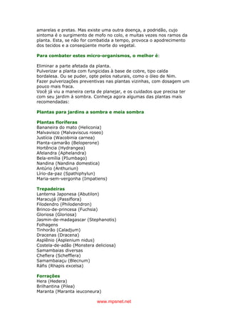 www.mpsnet.net
amarelas e pretas. Mas existe uma outra doença, a podridão, cujo
sintoma é o surgimento de mofo no colo, e muitas vezes nos ramos da
planta. Esta, se não for combatida a tempo, provoca o apodrecimento
dos tecidos e a conseqüente morte do vegetal.
Para combater estes micro-organismos, o melhor é:
Eliminar a parte afetada da planta.
Pulverizar a planta com fungicidas à base de cobre, tipo calda
bordalesa. Ou se puder, opte pelos naturais, como o óleo de Nim.
Fazer pulverizações preventivas nas plantas vizinhas, com dosagem um
pouco mais fraca.
Você já viu a maneira certa de planejar, e os cuidados que precisa ter
com seu jardim à sombra. Conheça agora algumas das plantas mais
recomendadas:
Plantas para jardins a sombra e meia sombra
Plantas floríferas
Bananeira do mato (Heliconia)
Malvavisco (Malvaviscus roseo)
Justícia (Wacobinia carnea)
Planta-camarão (Beloperone)
Hortência (Hydrangea)
Afelandra (Aphelandra)
Bela-emília (PIumbago)
Nandina (Nandina domestica)
Antúrio (Anthuriun)
Lírio-da-paz (Spathiphylun)
Maria-sem-vergonha (Impatiens)
Trepadeiras
Lanterna Japonesa (Abutilon)
Maracujá (Passiflora)
Filodendro (Philodendron)
Brinco-de-princesa (Fuchsia)
Gloriosa (Gloriosa)
Jasmin-de-madagascar (Stephanotis)
Folhagens
Tinhorão (Caladjum)
Dracenas (Dracena)
Asplênio (Asplenium nidus)
Costela-de-adão (Monstera deliciosa)
Samambaias diversas
Cheflera (Schefflera)
Samambaiaçu (Blecnum)
Ráfis (Rhapis excelsa)
Forrações
Hera (Hedera)
Brilhantina (Pilea)
Maranta (Maranta ieuconeura)
 