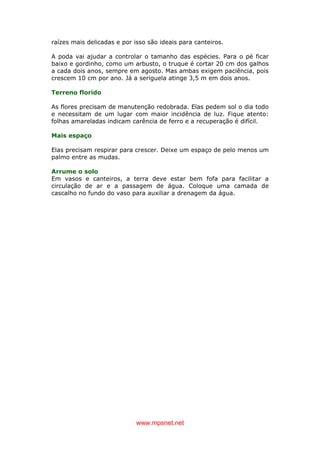 www.mpsnet.net
raízes mais delicadas e por isso são ideais para canteiros.
A poda vai ajudar a controlar o tamanho das espécies. Para o pé ficar
baixo e gordinho, como um arbusto, o truque é cortar 20 cm dos galhos
a cada dois anos, sempre em agosto. Mas ambas exigem paciência, pois
crescem 10 cm por ano. Já a seriguela atinge 3,5 m em dois anos.
Terreno florido
As flores precisam de manutenção redobrada. Elas pedem sol o dia todo
e necessitam de um lugar com maior incidência de luz. Fique atento:
folhas amareladas indicam carência de ferro e a recuperação é difícil.
Mais espaço
Elas precisam respirar para crescer. Deixe um espaço de pelo menos um
palmo entre as mudas.
Arrume o solo
Em vasos e canteiros, a terra deve estar bem fofa para facilitar a
circulação de ar e a passagem de água. Coloque uma camada de
cascalho no fundo do vaso para auxiliar a drenagem da água.
 