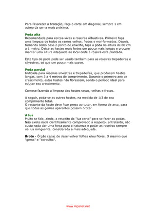 www.mpsnet.net
Para favorecer a brotação, faça o corte em diagonal, sempre 1 cm
acima da gema mais próxima.
Poda alta
Recomendada para cercas-vivas e roseiras arbustivas. Primeiro faça
uma limpeza de todos os ramos velhos, fracos e mal-formados. Depois,
tomando como base o ponto de enxerto, faça a poda na altura de 80 cm
a 1 metro. Deixe as hastes mais fortes um pouco mais longas e procure
manter uma altura adequada ao local onde a roseira está plantada.
Este tipo de poda pode ser usado também para as roseiras trepadeiras e
silvestres, só que um pouco mais suave.
Poda parcial
Indicada para roseiras silvestres e trepadeiras, que produzem hastes
longas, com 3 a 4 metros de comprimento. Durante o primeiro ano de
crescimento, estas hastes não florescem, sendo o período ideal para
educar seu crescimento.
Comece fazendo a limpeza das hastes secas, velhas e fracas.
A seguir, poda-se as outras hastes, na medida de 1/3 de seu
comprimento total.
O restante da haste deve ficar preso ao tutor, em forma de arco, para
que todas as gemas aparentes possam brotar.
A lua
Muito se fala, ainda, a respeito da "lua certa" para se fazer as podas.
Não existe nada cientificamente comprovado a respeito, entretanto, não
custa nada dar uma força para a natureza e podar as roseiras sempre
na lua minguante, considerada a mais adequada.
Broto - Órgão capaz de desenvolver folhas e/ou flores. O mesmo que
"gema" e "borbulha".
 