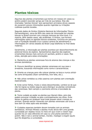www.mpsnet.net
Plantas tóxicas
Algumas das plantas ornamentais que temos em nossos em vasos ou
jardins podem esconder perigo por trás de sua beleza. Elas são
chamadas "plantas tóxicas" pois apresentam princípios ativos capazes
de causarem graves intoxicações quando ingeridas ou irritações
cutâneas quando tocadas.
Segundo dados do Sinitox (Sistema Nacional de Informações Tóxico-
Farmacológicas), cerca de 60% dos casos de intoxicação por plantas
tóxicas no Brasil ocorrem com crianças menores de nove anos. E a
maioria, 80% destes casos, são acidentais. O Sinitox, que fornece
informações sobre os agentes tóxicos existentes, funciona em parceria
com a Fundação Oswaldo Cruz e possui centros de atendimento e
informações em vários estados do Brasil (veja telefones no final desta
matéria).
Geralmente, a intoxicação por plantas acontece por desconhecimento do
potencial tóxico da espécie. Apresentamos algumas das espécies
ornamentais tóxicas mais comuns em quintais, jardins e vasos. Mas
antes, atenção para estas orientações:
1- Mantenha as plantas venenosas fora do alcance das crianças e dos
animais domésticos.
2- Procure identificar se possui plantas venenosas em sua casa e
arredores, buscando informações como nome e características.
3- Oriente as crianças para não colocar plantas na boca e nunca utilizá-
las como brinquedos (fazer comidinhas, tirar leite, etc.).
4- Não utilize remédios ou chás caseiros com plantas sem orientação
especializada.
5- Evite comer folhas, frutos e raízes desconhecidas. Lembre-se de que
não há regras ou testes seguros para distinguir as plantas comestíveis
das venenosas. Nem sempre o cozimento elimina a toxicidade da
planta.
6- Tome cuidado ao podar as plantas que liberam látex, pois elas
podem provocar irritação na pele e principalmente nos olhos. Evite
deixar os galhos em qualquer local onde possam atrair crianças ou
animais. Quando estiver mexendo com plantas venenosas use luvas e
lave bem as mãos após esta atividade.
7- Cuidados especiais também devem tomados com os animais
domésticos. Animais filhotes e adultos muito ativos têm uma grande
curiosidade por objetos novos no meio em que vivem e notam logo
quando há um vaso diferente em casa ou uma planta estranha no
jardim. Não é raro o animal lamber, morder, mastigar e engolir aquilo
que lhe despertou a curiosidade.
 