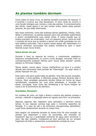 www.mpsnet.net
As plantas também dormem
Como todos os seres vivos, as plantas também precisam de repouso. E
é durante o inverno que elas descansam. O sono verde do inverno é
uma função biológica que norteia a vida das plantas. O amarelecimento
das folhas, nessa época é um dos muitos sinais, dados pelas plantas
perenes, de que estão hibernando.
Nos casos extremos, como das bulbosas típicas (gladíolos, frésias, lírios,
dálias e anêmonas), as plantas passam para uma atividade subterrânea
e secam completamente suas partes áreas. É nessa ocasião que os
bulbos precisam ser arrancados: com um pequeno pincel, retira-se todo
o excesso de terra que os recobre e devem ser então guardados em um
saco plástico perfurado. Três a quatro meses depois são replantados e a
reserva alimentar acumulada nos bulbos transfere-se para o caule
fazendo surgir novos brotos.
Deixe dormir em paz
Durante o sono ou repouso de inverno, o crescimento, vegetativo
estaciona completamente, ou ocorre muito devagar, tornando inútil ou
contraproducente qualquer esforço para "puxar pelas plantas" usando
adubos ou fórmulas mágicas.
Menos adubo, menos água, menos interferência na terra é a melhor
atitude para atravessar esse período de "hibernação”. Ou seja: deixe a
planta repousar em paz.
Essa regra vale para quase todas as plantas. Uma das poucas exceções,
o gerânio, o amor-perfeito, é diferente porque floresce durante todo o
inverno. Essa variedade apresenta bonitas folhas em forma de leque
semifechado, recobertas por uma certa pilosidade, a nervação em
plissê, corrugada. Suas cores são fantásticas e as flores chegam às
vezes a ter 8 centímetros de diâmetro.
Acordadas, florescem
Em meados de julho, em todo o Brasil a maioria das plantas começa a
acordar, voltando à vegetação plena em agosto para florir na primavera.
Algumas espécies não respeitam esse calendário e dormem menos
tempo. O seu repouso começa logo após o momento específico da
floração. É o caso do ipê e da primavera (bougainvillea spectabilis),
cujas flores desabrocham durante os meses frios.
Para alegrar um ambiente durante os meses frios há uma exceção: as
plantas que dispensam o sono. As suculentas, por exemplo, se
receberem boa luz e quantidade suficiente de água (sem encharcar o
solo) não dão trabalho, multiplicam-se bem partindo de um simples
fragmento de folha e apresentam surpreendente vontade de viver.
 