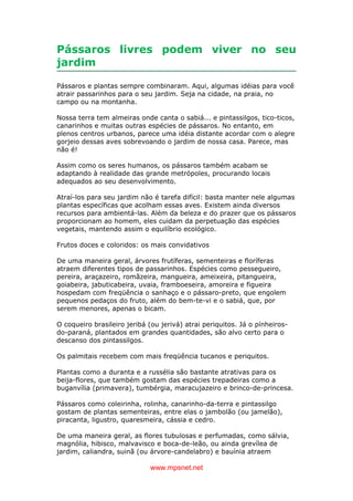 www.mpsnet.net
Pássaros livres podem viver no seu
jardim
Pássaros e plantas sempre combinaram. Aqui, algumas idéias para você
atrair passarinhos para o seu jardim. Seja na cidade, na praia, no
campo ou na montanha.
Nossa terra tem almeiras onde canta o sabiá... e pintassilgos, tico-ticos,
canarinhos e muitas outras espécies de pássaros. No entanto, em
plenos centros urbanos, parece uma idéia distante acordar com o alegre
gorjeio dessas aves sobrevoando o jardim de nossa casa. Parece, mas
não é!
Assim como os seres humanos, os pássaros também acabam se
adaptando à realidade das grande metrópoles, procurando locais
adequados ao seu desenvolvimento.
Atraí-los para seu jardim não é tarefa difícil: basta manter nele algumas
plantas específicas que acolham essas aves. Existem ainda diversos
recursos para ambientá-las. Além da beleza e do prazer que os pássaros
proporcionam ao homem, eles cuidam da perpetuação das espécies
vegetais, mantendo assim o equilíbrio ecológico.
Frutos doces e coloridos: os mais convidativos
De uma maneira geral, árvores frutíferas, sementeiras e floríferas
atraem diferentes tipos de passarinhos. Espécies como pessegueiro,
pereira, araçazeiro, romãzeira, mangueira, ameixeira, pitangueira,
goiabeira, jabuticabeira, uvaia, framboeseira, amoreira e figueira
hospedam com freqüência o sanhaço e o pássaro-preto, que engolem
pequenos pedaços do fruto, além do bem-te-vi e o sabiá, que, por
serem menores, apenas o bicam.
O coqueiro brasileiro jeribá (ou jerivá) atrai periquitos. Já o pínheiros-
do-paraná, plantados em grandes quantidades, são alvo certo para o
descanso dos pintassilgos.
Os palmitais recebem com mais freqüência tucanos e periquitos.
Plantas como a duranta e a russélia são bastante atrativas para os
beija-flores, que também gostam das espécies trepadeiras como a
buganvília (primavera), tumbérgia, maracujazeiro e brinco-de-princesa.
Pássaros como coleirinha, rolinha, canarinho-da-terra e pintassilgo
gostam de plantas sementeiras, entre elas o jambolão (ou jamelão),
piracanta, ligustro, quaresmeira, cássia e cedro.
De uma maneira geral, as flores tubulosas e perfumadas, como sálvia,
magnólia, hibisco, malvavisco e boca-de-leão, ou ainda grevílea de
jardim, caliandra, suinã (ou árvore-candelabro) e bauínia atraem
 