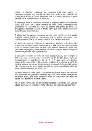 www.mpsnet.net
raízes; o Fósforo colabora no fortalecimento das raízes e,
conseqüentemente na fixação da planta ao solo e ao estímulo da
produção de folhas e flores; enquanto que o Potássio aumenta o vigor
das plantas e sua resistência a doenças.
A diferença entre a adubação química e orgânica reside no potencial
físico, que cada uma delas oferece ao solo, como permeabilidade,
capacidade de absorção de água ou coesão dos grãos de terra. Há
divergências também quanto a forma com que estes macronutrientes
são extraídos e sintetizados.
O adubo químico apenas incorpora ao solo estes nutrientes, já o adubo
orgânico possui todos os elementos que a planta necessita, com
raríssimas exceções, e ele ainda trabalha pela estrutura do solo.
No caso de adubos químicos, o Nitrogênio, Fósforo e Potássio são
produzidos em laboratórios industriais, e o NPK pode ser composto por
mais ou menos quantidade de cada um destes elementos, para que
possa ser empregado, corretamente em cada situação. Assim seu poder
de fertilização será mais concentrado.
É possível encontrar a venda em lojas especializadas, por exemplo, o
NPK em duas modalidades, 10-10-10 ou 04-14-08. Estes números
correspondem a quantidade de N, P e K que cada um possui,
exatamente nesta ordem. Já o adubo, orgânico é produzido a partir de
matéria vegetal ou animal decomposta, e em geral, é rico em Nitrogênio
(N), mas precisa ser empregado no solo em maior quantidade, além de
levar mais tempo para ser absorvido.
Por este motivo à fertilização com adubos orgânicos acaba se tornando
muito onerosa em grandes extensões agrícolas, mas é ideal para jardins
de menor porte, que ainda podem se valer da junção dos dois tipos de
adubo para beneficiar melhor a terra.
Para o cultivo em vasos em ambientes fechados recomenda se o uso, do
adubo químico, em virtude do forte odor que os orgânicos apresentam.
 