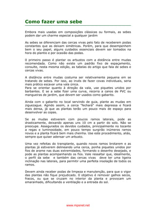 www.mpsnet.net
Como fazer uma sebe
Embora mais usadas em composições clássicas ou formais, as sebes
podem dar um charme especial a qualquer jardim
As sebes se diferenciam das cercas vivas pelo fato de receberem podas
constantes que as deixam simétricas. Porém, para que desempenhem
bem o seu papel, alguns cuidados essenciais devem ser tomados na
hora do plantio e por ocasião das podas.
0 primeiro passo é plantar os arbustos com a distância entre mudas
recomendada. Como não existe um padrão fixo de espaçamento,
consulte, nesta mesma edição, as tabelas do artigo que fala de sebes e
cercas vivas.
A distância entre mudas costuma ser relativamente pequena em se
tratando de sebes. Por isso, ao invés de fazer covas individuais, seria
mais prático escavar uma vala única.
Para se orientar quanto à direção da vala, use piquetes unidos por
barbantes. E se a sebe fizer uma curva, recorra a canos de PVC ou
mangueiras de jardim, que devem ser usados como gabarito.
Ainda com o gabarito no local servindo de guia, plante as mudas em
ziguezague. Agindo assim, a cerca "fechará" mais depressa e ficará
mais densa, já que as plantas terão um pouco mais de espaço para
desenvolver as copas.
Se as mudas estiverem com poucos ramos laterais, pode as
drasticamente, deixando apenas uns 10 cm a partir do solo. Não se
preocupe. Assegurados os devidos cuidados, principalmente no tocante
a regas e luminosidade, em pouco tempo surgirão inúmeros ramos
novos e a planta ficará bem mais cheinha. Use este procedimento, aliás,
sempre que quiser adensar um arbusto.
Uma vez refeitas do transplante, quando novos ramos brotarem e as
plantas já estiverem delineando uma cerca, ponha piquetes unidos por
fios de arame nas duas extremidades, formando o desenho desejado, e
pode as plantas acompanhando os fios. Vale ressaltar que, idealmente,
o perfil da sebe e também das cercas vivas deve ter uma ligeira
inclinação nas laterais, para permitir uma perfeita insolação de todos os
ramos.
Devem ainda receber podas de limpeza e manutenção, para que o vigor
das plantas não fique prejudicado. 0 objetivo é remover galhos secos,
fracos, ou que se cruzam no interior da planta e provocam um
emaranhado, dificultando a ventilação e a entrada do sol.
 