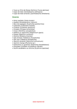 www.mpsnet.net
• Yuca ou Círio-de-Nossa-Senhora (Yucca gloriosa)
• Copo-de-leite (Zantedeschia aethiopica)
• Copo-de-leite-amarelo (Zanthedeschia elliottiana)
Inverno
• Amor-perfeito (Viola tricolor)
• Azaléia (Rhododendron indicum)
• Bico-de-papagaio (Euphorbia pulcherrima)
• Caliandra (Calliandra tweedii)
• Ciclame (Cyclamen persicum)
• Congéia (Congea tomentosa)
• Cravo (Dianthus caryophyllus)
• Delfínio ou esporinha (Delphinium ajacis)
• Giesta (Spartium junceum)
• Glicínia (Wisteria sinensis)
• Ipê amarelo (Tabebuia chrysotricha)
• Ipê rosa (Tabebuia pentaphylla)
• Jasmim-amarelo (Jasminum primulinum)
• Jasmim-manga (Plumeria sp.)
• Kalanchoe ou gordinha (Kalanchoe blossfeldiana)
• Orquídea Cymbídio (Cymbidium híbrido)
• Suinã candelabro ou eritrina (Erythrina speciosa)
 