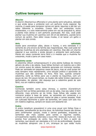 www.mpsnet.net
Cultive temperos
Alecrim
O alecrim (Rosmarinus officinalis) é uma planta semi-arbustiva, delicada
e que ainda deixa o ambiente com um perfume muito especial. Na
cozinha, é usado para temperar carnes em geral, legumes e até dar um
sabor diferente a omeletes. Cresce bem em ambientes muito
ensolarados, e o solo relativamente pobre em vez de prejudicá lo, deixa
a planta mais densa e com perfume acentuado. Por isso, você pode
plantar sua mudinha em vasinhos com 20 cm de diâmetro, usando terra
comum de jardim. Para obter novas mudas, é só lascar um galho e
plantar em solo úmido.
Anis estrelado
Usado para aromatizar pães, doces e licores, o anis estrelado é a
semente de uma árvore da família das magnoliáceas. Mas você pode ter
algumas mudinhas de anis plantadas em vasinhos. Elas dão um charme
especial à sua cozinha e ainda deixam o ambiente bem perfumado.
Plante em vasos contendo terra fértil e à medida que a mudinha for
crescendo, mude a para um vaso maior.
Cebolinha verde
A cebolinha (Allium schoenoprasum) é uma planta bulbosa do mesmo
gênero do alho e da cebola. Suas folhas formam um tubinho oco e têm
um aroma suave de cebola, bastante apreciado em inúmeras receitas.
Pode ser semeada em pequenos vasos de barro, mas se você quiser ter
esse tempero mais rapidamente, uma solução prática é aproveitar as
mudinhas que são vendidas na feira. Para isso, quando comprar
cebolinha, corte as folhas para uso e plante os toquinhos, com um
pouco da raiz. Em pouco tempo, as mudas vão soltar brotos vigorosos e
perfumados. Ao plantar, não esqueça que a cebolinha gosta de solo
fértil, rico em matéria orgânica.
Coentro
Conhecido também como salsa chinesa, o coentro (Coriandrrum
sativum) tem as folhas parecidas com as da salsa, mas seu sabor é bem
diferente, mais próximo ao do limão. Suas folhas são usadas em
inúmeros pratos à base de peixe, as sementes em conservas e o
coentro em pó para aromatizar massa de pães e carnes assadas. Pode
ser cultivado facilmente a partir de sementes, em vasos com solo rico
em matéria orgânica, sempre em locais com bastante sol.
Endro
O endro (anethum graveolens) é uma erva anual com folhas finas e
delicadas, semelhantes às da erva doce. As folhinhas frescas são ótimas
para condimentar queijos, ricota e carnes grelhadas, enquanto as
sementes são mais usadas para carnes e legumes cozidos,
principalmente repolho, beterraba e couve-flor. Gosta de muito sol, mas
precisa ficar protegido do vento. Seu cultivo é fácil, a partir de
sementes, que devem ser plantadas a 0,5 cm de profundidade. Quando
as mudinhas atingirem uns 5 cm, arranque as que estão muito
 