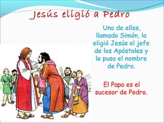 Jesús eligió a Pedro
Uno de ellos,
llamado Simón, lo
eligió Jesús el jefe
de los Apóstoles y
le puso el nombre
de Pedro.
El Papa es el
sucesor de Pedro.
 