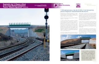 82 Anuario 07
Supresión de 11 Pasos a Nivel
en la Línea Madrid-Cartagena.
Tramo: Tobarra-Agramón. Albacete
OBRA CIVIL
Obras Ferroviarias
83Anuario 07
Conductas
Responsables
Entidad contratante:
Dirección General de Ferrocarriles
del Ministerio de Fomento
Se tratan los taludes con hidrosiembra
y se repueblan con plantaciones de
pinos, los cuales están protegidos de la
fauna por una malla, lo que facilita su
crecimiento en los primeros años. Al
borde de la calzada se colocan plantas
autóctonas (retamas, espartos y rome-
ros) cada 2 m de forma alterna.
Esta intervención consiste en la supresión de 11 pasos
a niveles situados en la línea Madrid- Cartagena, tramo
Tobarra-Agramón, entre los términos municipales de
Tobarra y Hellín, provincia de Albacete.
Para ello, se han ejecutado 8 pasos superiores, 2 caminos
paralelos y 1 paso inferior.
Los pasos superiores están cimentados por estribos
de tierra armada. Están constituidos por 4 vigas (5 en
el caso de Agramón) y losas de encofrado perdido. Los
tableros tienen 16 m de luz, 9 m de ancho y 7 m de
alto sobre la vía, dando lugar a 2 carriles para el tráfico
más una acera para los peatones. Los puentes están
protegidos por una valla de protección. La sección de
firme de todos los pasos, salvo el de Agramón, está
formada por suelo seleccionado, zahorra artificial y doble
tratamiento superficial. El aglomerado del paso de
Agramón, se realiza con una capa base de aglomerado
G-25 y una de rodadura S-12.
Los caminos paralelos tienen una sección similar a la
de los pasos superiores: una capa de 70 cm de suelo
7.200 plantaciones y más de 43.000 m2
de hidrosiembra
para la integración medioambiental del entorno
seleccionado, una capa de 30 cm de zahorra artificial
y una capa de rodadura a base de doble tratamiento
superficial. Uno de los caminos discurre por la ladera
del Tolmo de Minateda, donde hay un importante yaci-
miento arqueológico de la época de la Edad del Bronce,
por lo que se trabaja con máximo rigor bajo la atenta
supervisión de arqueólogos acreditados por la Consejería
de Cultura de Castilla La Mancha.
El paso inferior en la localidad de Hellín se ejecuta
mediante el procedimiento de “Cajón Hincado” (de
32 m x 10 m x 6 m). Se construye una losa de desliza-
miento de 31 m x 10,5 m, 2 muretes guías y muro de
reacción. Antes y después del empuje del cajón, se
realiza el apeo/desapeo de la vía mediante 20 vigas
longitudinales.
El paso inferior está dotado de 15 proyectores para su
iluminación y un pozo de bombeo de 30 m3
de capaci-
dad para la evacuación de agua pluvial. Está formado
por 2 aceras superiores y 1 inferior, con un paso libre
y una pendiente inferior. Se complementa con una
calzada con dos carriles.
 