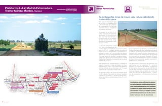 84 Anuario 07
Plataforma L.A.V. Madrid-Extremadura.
Tramo: Mérida-Montijo. Badajoz
OBRA CIVIL
Se establecen zonas de limpieza de elemen-
tos de hormigonado (contenedores estancos,
fosas impermebealizadoras) para concentrar
y gestionar su vertido. Para prevenir la caída
de materiales al cauce, se realizan cunetas
perimetrales para encauzar los finos arras-
trados hasta una zona de decantación.
Obras Ferroviarias
Se protegen las zonas de mayor valor natural delimitando
zonas de limpieza
Esta obra se extiende a lo largo
de 16.000 m. Comienza en el
p.k. 13+000 entre las localidades
de Esparragalejo y La Garrovilla
y termina en el p.k. 29+000 en
la localidad de Montijo.
El trazado, en los 500 m ini-
ciales, comienza en desmonte,
alcanzando 13 m de profundi-
dad (los más importantes) y
posteriormente va en terraplén
de 9 m (los más altos), adap-
tándose a la vía existente a partir
del p.k.15+500.
La sección transversal cuenta
con una única plataforma de
14 m de ancho coronada por una capa de subba-
lasto de 30 cm, y debajo de ésta una capa de
forma de 40 cm. Paralelamente a la plataforma se
ejecuta un camino de 3 m coronado con zahorra
artificial (25 cm) y un doble tratamiento superficial.
A lo largo de ésta se ejecutan 2 canaletas prefabri-
cadas para la ubicación de fibra óptica. El perfil
longitudinal de la plataforma presenta una pendiente
máxima de un 1,5 %.
Para salvar los ríos, canal de Montijo y acequias se
realizan 14 puentes a lo largo del trazado, con longi-
tudes entre 20 y 100 m. Los cruces de la plataforma
con las distintas vías se solucionan con 11 pasos
superiores de una longitud media de 60 m.
Se ejecutan 6.900 m de muros de hormigón (entre
4 y 9 m de alto). Para salvar los arroyos, vaguadas
y barrancos se realizan 11 obras de drenaje trans-
versal tipo marcos prefabricados (entre 2m x 2m
y 4m x 2m).
En las estaciones de Montijo y La Garrovilla, se
reubican las playas de vías, cambiando la situación
de edificios, andenes y accesos de las estaciones
mediante dos pasos inferiores peatonales. En
ambas se realizan las instalaciones de seguridad
y comunicaciones cambiando el puesto de mando
local, equipos de señalización, circuitos y aparatos
de vías, comunicaciones, puesto telemando y
asistencia a la conducción.
Las afecciones o reubicación de servicios mas
significativas son las siguientes: 21 a servicios
eléctricos, 8 a servicios de telefonía, 3 a servicios
de fibra óptica, 5 a servicios del canal de Montijo
(una de ellas consiste en modificar 600 m de canal
y otra en trasladar todo el edificio de control del
canal), 6 a servicios de abastecimiento, 4 a servi-
cios de saneamiento, y 30 afecciones a servicios
de riego.
85Anuario 07
Conductas
ResponsablesEntidad contratante:
Administrador de Infraestructuras
Ferroviarias (ADIF)
 