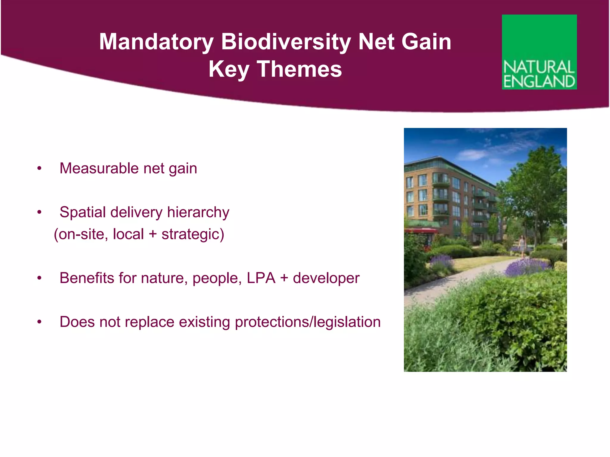 Mandatory Biodiversity Net Gain
Key Themes
• Measurable net gain
• Spatial delivery hierarchy
(on-site, local + strategic)
• Benefits for nature, people, LPA + developer
• Does not replace existing protections/legislation
 