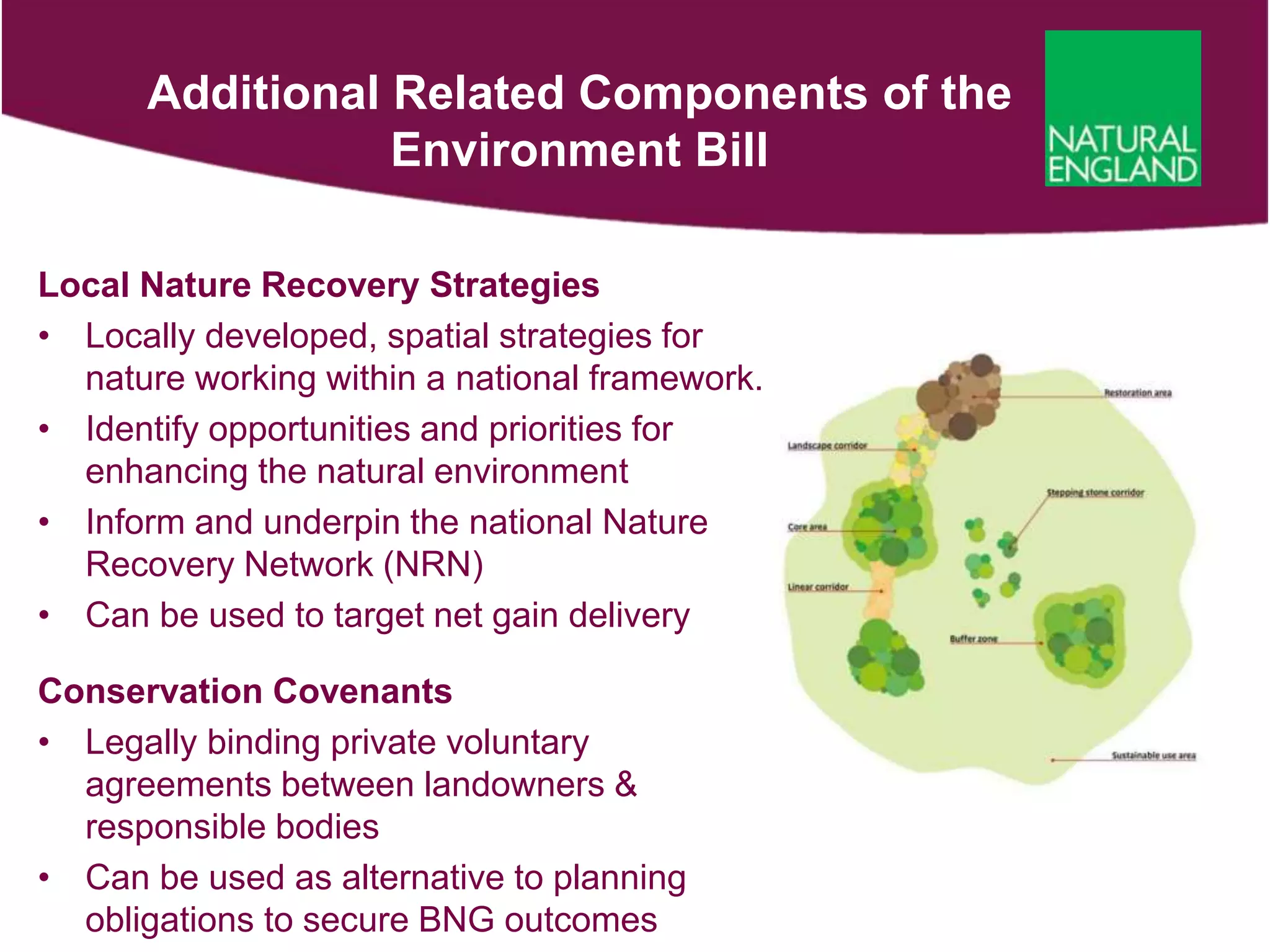 Additional Related Components of the
Environment Bill
Local Nature Recovery Strategies
• Locally developed, spatial strategies for
nature working within a national framework.
• Identify opportunities and priorities for
enhancing the natural environment
• Inform and underpin the national Nature
Recovery Network (NRN)
• Can be used to target net gain delivery
Conservation Covenants
• Legally binding private voluntary
agreements between landowners &
responsible bodies
• Can be used as alternative to planning
obligations to secure BNG outcomes
 
