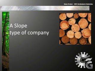 A Slope
type of company
 