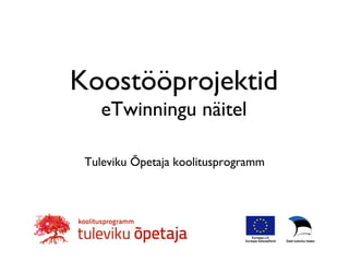 Koostööprojektid
eTwinningu näitel
Tuleviku Õpetaja koolitusprogramm
 