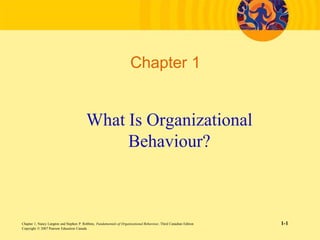 Chapter 1


                                          What Is Organizational
                                               Behaviour?



Chapter 1, Nancy Langton and Stephen P. Robbins, Fundamentals of Organizational Behaviour, Third Canadian Edition   1-1
Copyright © 2007 Pearson Education Canada
 
