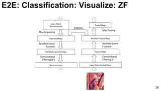 36
E2E: Classification: Visualize: ZF
 