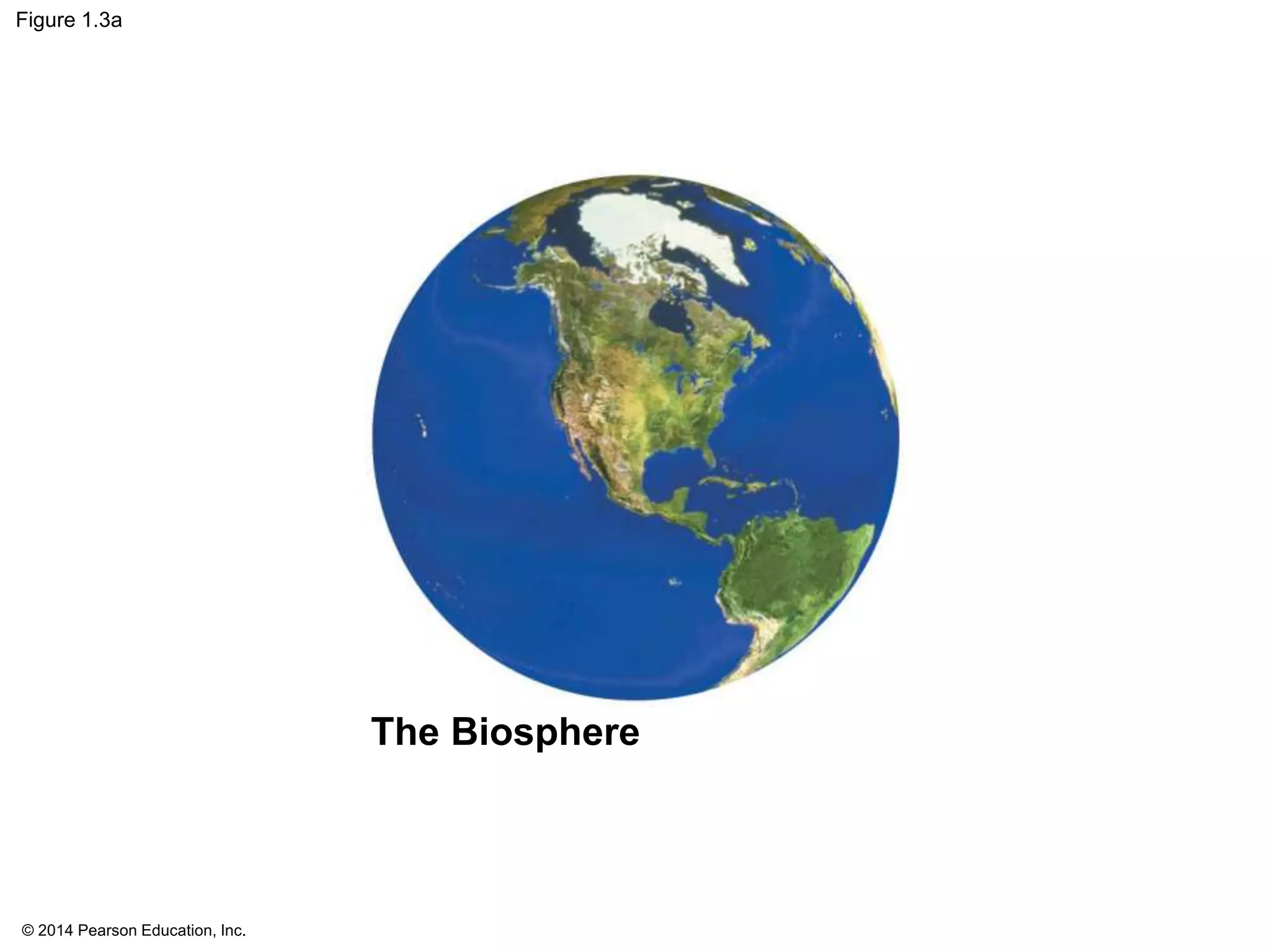 © 2014 Pearson Education, Inc.
Figure 1.3a
The Biosphere
 