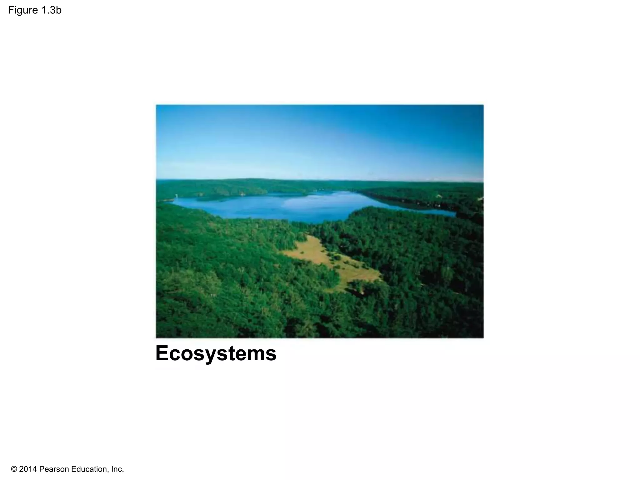 © 2014 Pearson Education, Inc.
Figure 1.3b
Ecosystems
 