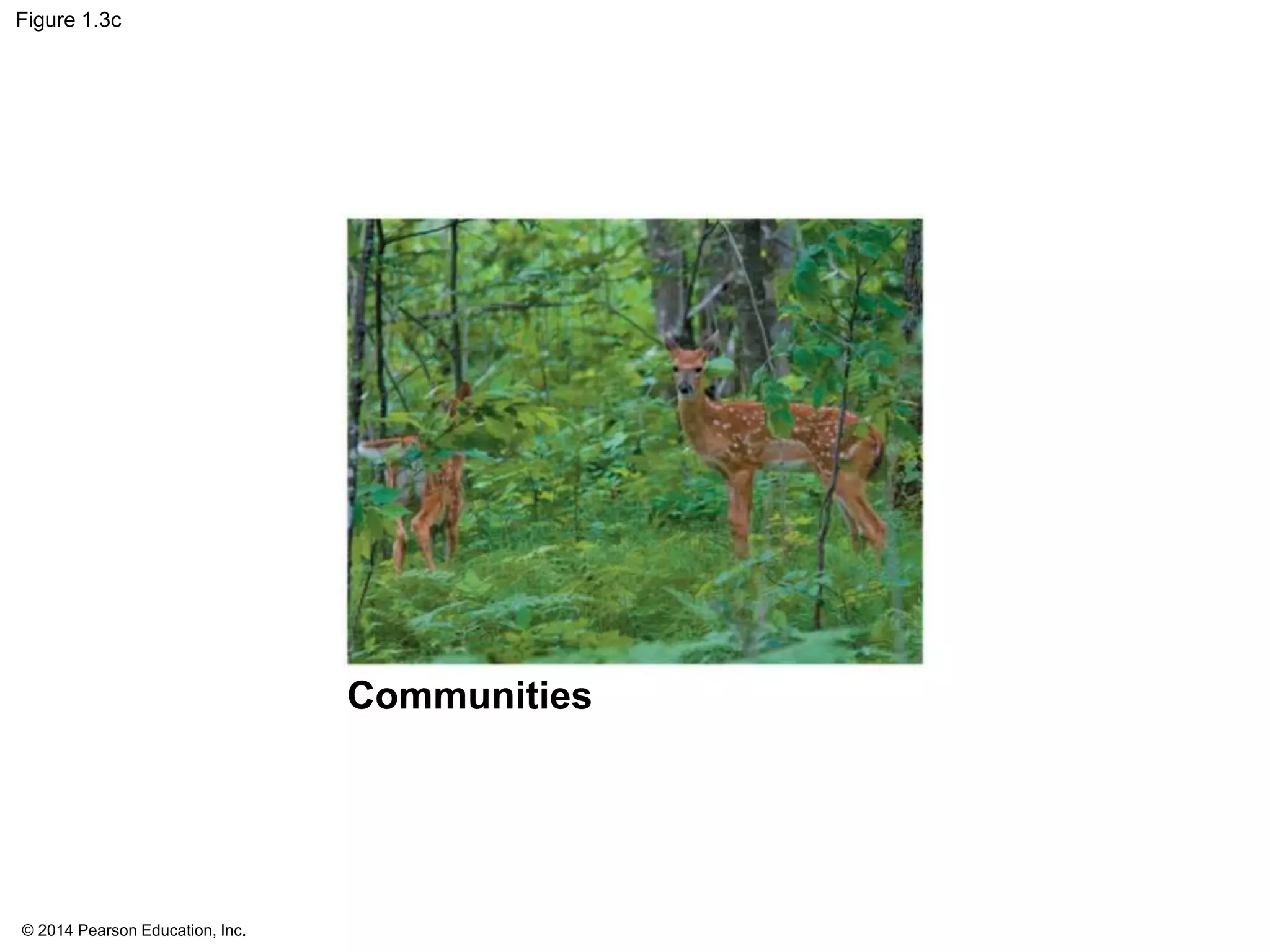 © 2014 Pearson Education, Inc.
Figure 1.3c
Communities
 