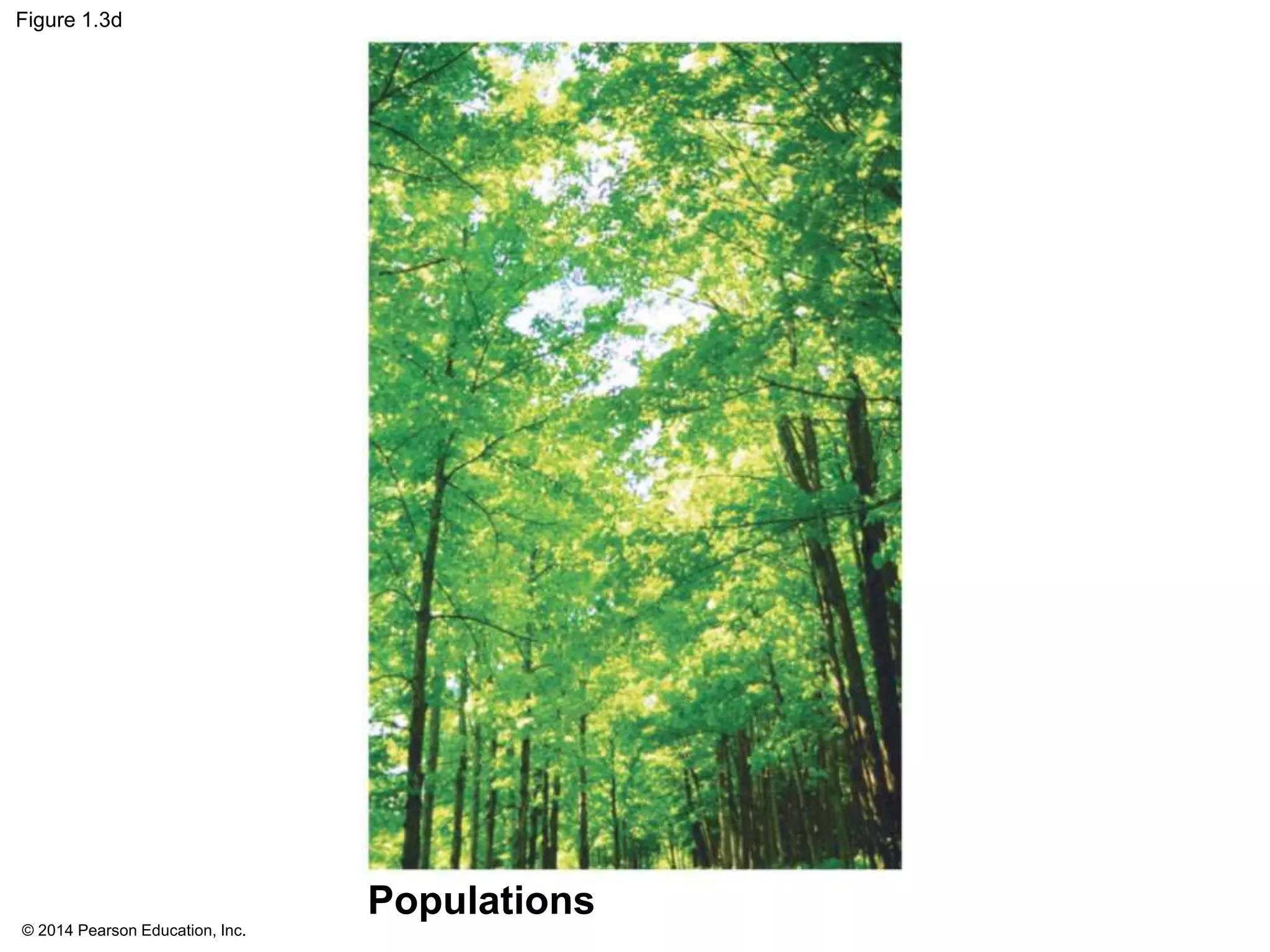 © 2014 Pearson Education, Inc.
Figure 1.3d
Populations
 